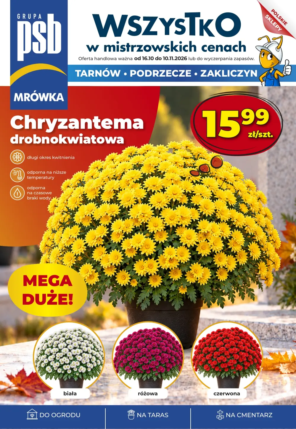 PSB Mrówka — strona 1 z 12